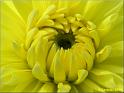 Parc floral 028